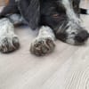 Liebe Paula, sucht ihre Familie