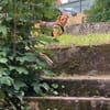 Joey - kleiner lieber Schatz ohne Heim
