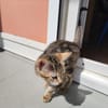Arlo