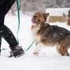 Kenai