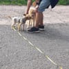 Bibi  ein Yorkie mit großem Herzen