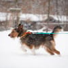 Kenai