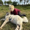 Rosie sucht ihr Körbchen mit Garten