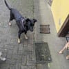 VERA soll es schön haben