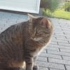 liebe Leni in den besten Jahren Rheingau