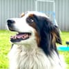 Sammy