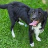 COOPER wartet schon lange