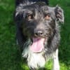 COOPER wartet schon lange