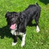 COOPER wartet schon lange