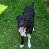 COOPER wartet schon lange