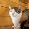 Pina will  erobert werden (ALO) MUC