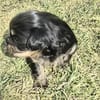 Tess sucht neuen Wirkungskreis ab Oktobe