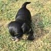 Tess sucht neuen Wirkungskreis ab Oktobe