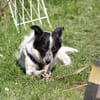 ALICE - sucht ihr Wunderland!