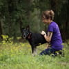 Koda