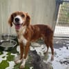 DALILA
