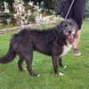 Napoleon  - PLZ 68642