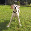 ❤Daisy...sehr menschenbezogen & sozial