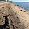 Die liebe Hazel sucht ein neues Zuhause