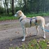 Polly - bereit was zu erleben!