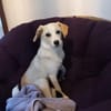 Polly - bereit was zu erleben!