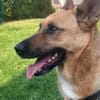 Madison sucht Geborgenheit