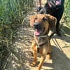 Kayo -zur Pflege in 23701 Bockholt-