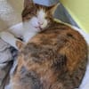 schüchterene Neyla sucht ein Zuhause