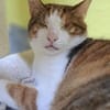 schüchterene Neyla sucht ein Zuhause