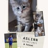 Aslinn
