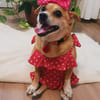 Berta