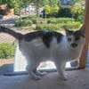 Liebe Becca sucht ihre Menschen