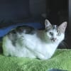 Liebe Becca sucht ihre Menschen