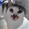 Liebe Becca sucht ihre Menschen