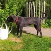 BILLA * sucht das Glück