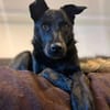 LUNA -auf der Suche nach Geborgenheit!
