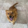 Kleiner Schatz Leonello sucht Zuhause