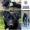 JANNA * freundliche Begleitung
