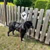 JANNA * freundliche Begleitung