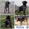 RUFUS -liebt Schweißarbeit-