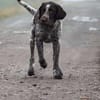 RUFUS -liebt Schweißarbeit-