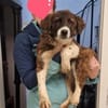KIBA * Ihre Menschen sind Ihre Welt
