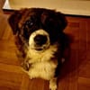 KIBA * Ihre Menschen sind Ihre Welt