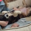 KIBA * Ihre Menschen sind Ihre Welt