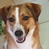 SUNDAY -steckt voller Entdeckungsfreude-