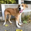 MILO   (Martina)