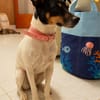 TINA (Martina)