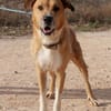 CORONEL (Maria)