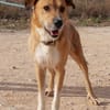 CORONEL (Maria)