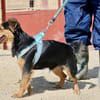 Figo, freundlich, offen,kinderfreundlich